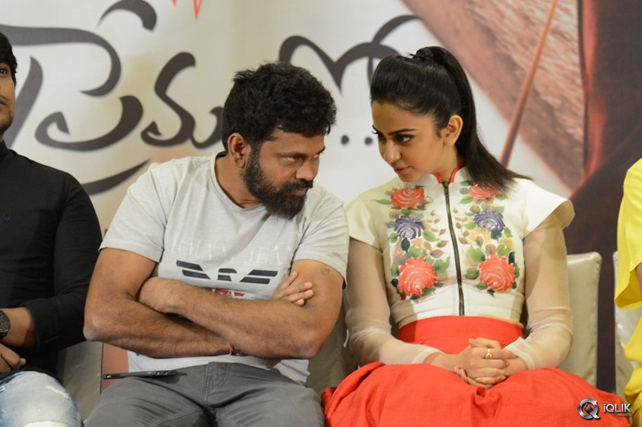 Nannaku-Prematho-Movie-Grand-Success-Meet